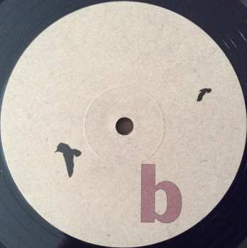 LP Hop Along: Painted Shut