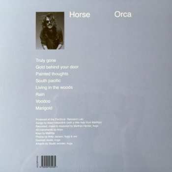 LP Horse: Orca 