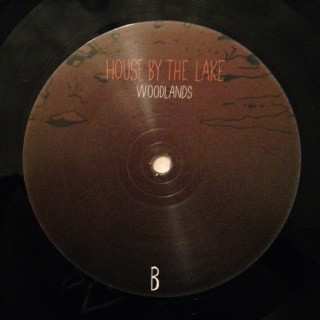 LP House By The Lake: Woodlands