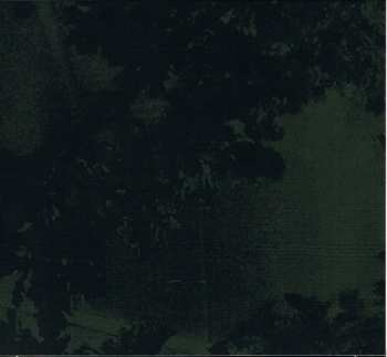 CD Hugo Race & True Spirit: The Spirit