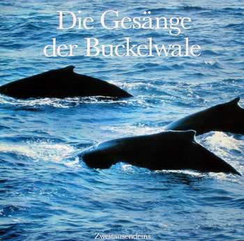 LP Humpback Whale: Die Gesänge Der Buckelwale