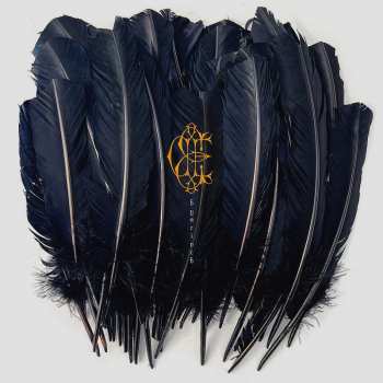 LP David Eugene Edwards: Hyacinth