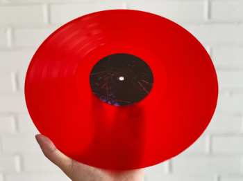 LP Hybrid Minds: Reflections