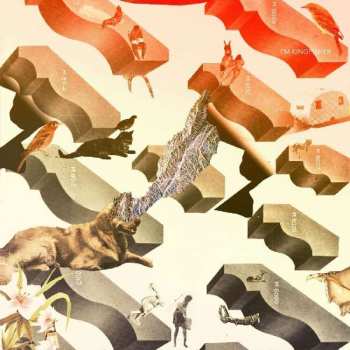 Album I'm Kingfisher: Transit