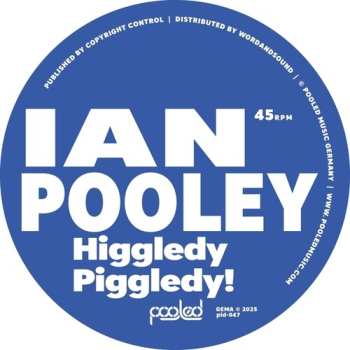 Album Ian Pooley: Higgledy Piggledy!