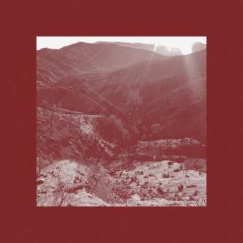 Album Ian Wellman: On The Darkest Day, You Took My Hand & Swore It Will Be Okay