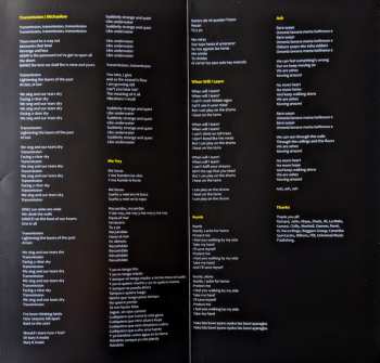 LP Ibeyi: Ash