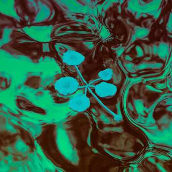 Album Icarus: An Ever​-​Growing Meridional Entertainment Transgression At The Edge Of The Multiverse