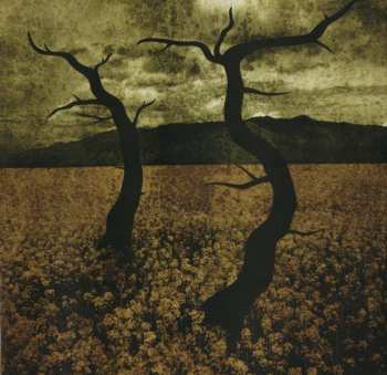 CD Idiot Pilot: Strange We Should Meet Here