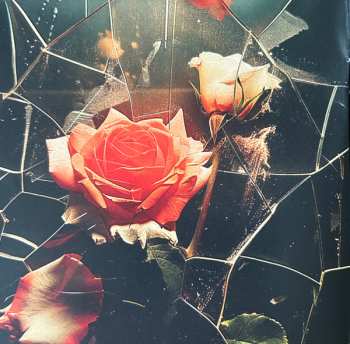 CD Ilse DeLange: Tainted