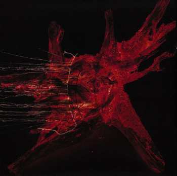 CD In Extremo: Sünder Ohne Zügel