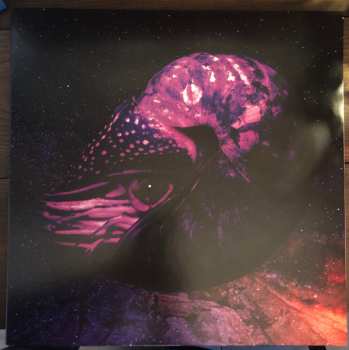 LP Indian Handcrafts: Creeps