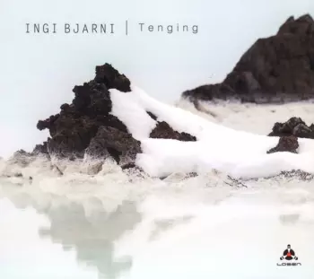Ingi Bjarni Skúlason: Tenging