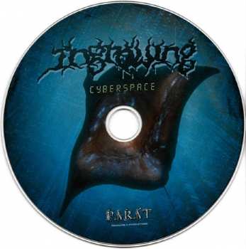 CD Ingrowing: Cyberspace