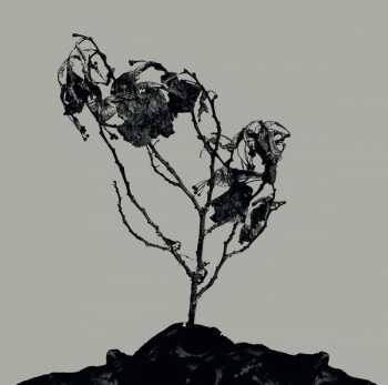 Album Treha Sektori: Innerwoud + Treha Sektori