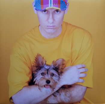 LP Pet Shop Boys: Introspective
