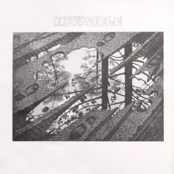 Invisible