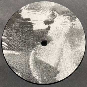 2LP Irakli: Major Signals