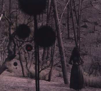 Album ISIS: Not In Rivers, But In Drops