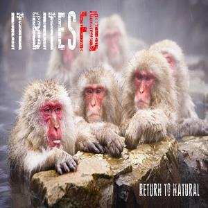 CD It Bites FD: Return To Natural