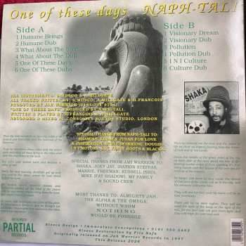 LP Jah Warrior: One Of These Days