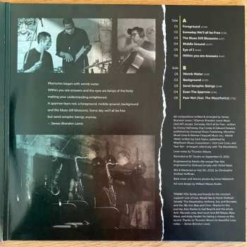 LP James Brandon Lewis Trio: Eye Of I