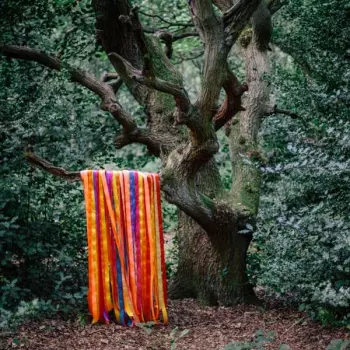 James Holden: The Animal Spirits