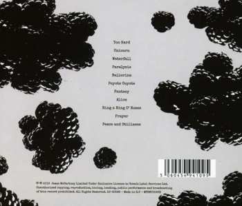 CD James McCartney: The Blackberry Train