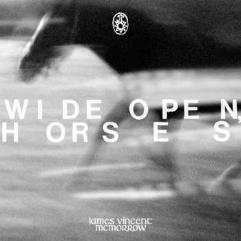 2LP James Vincent McMorrow: Wide Open, Horses CLR