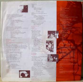LP Jane Siberry: Bound By The Beauty
