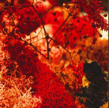 LP JASSS: A World Of Service