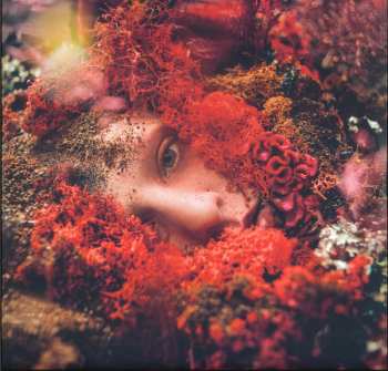 LP JASSS: A World Of Service