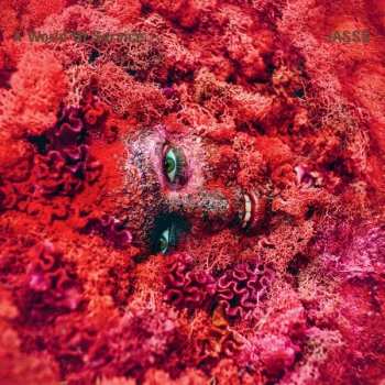 CD JASSS: A World Of Service 