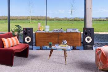 Técnica de áudio JBL TT350 Ořech/Stříbrná