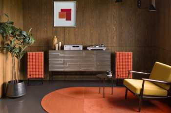 Técnica de áudio JBL TT350 Ořech/Stříbrná