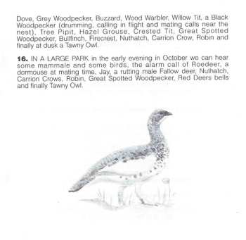 CD Jean C. Roché: Forêts De Montagnes / Mountain Medley