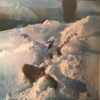 2LP Jean-Louis Murat: Mustango LTD