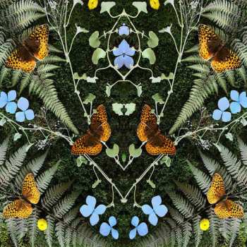 LP Jean-Michel Blais: Aubades