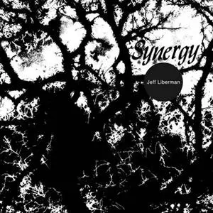 Jeffery Liberman: Synergy