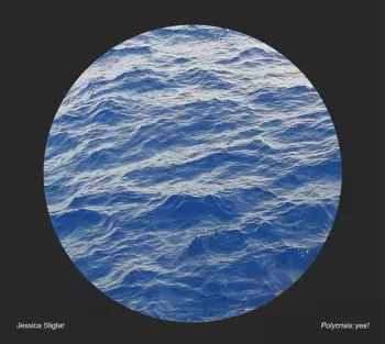 Jessica Sligter: Polycrisis​:yes!