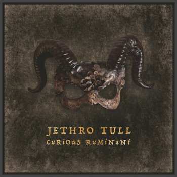 CD Jethro Tull: Curious Ruminant