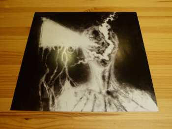 LP Jinjer: Micro LTD