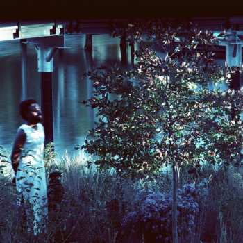 Album Jerome Ellis: Vesper Sparrow