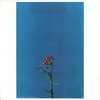 LP Joanna Newsom: Joanna Newsom & The Ys Street Band E.P.