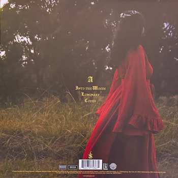 LP Joel Sunny: Into The Woods CLR | LTD