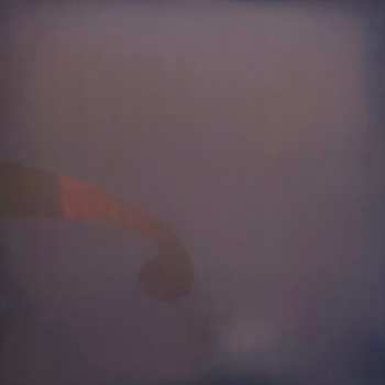 LP Joel Sunny: Into The Woods CLR | LTD