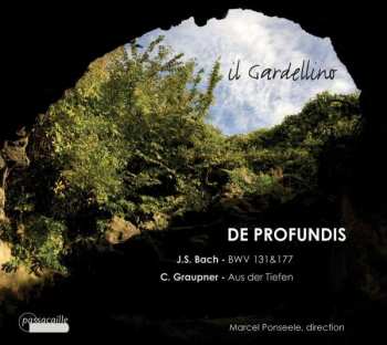 Album Johann Sebastian Bach: De Profundis