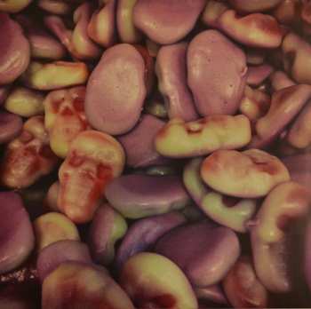 2LP/CD John Grant: Pale Green Ghosts