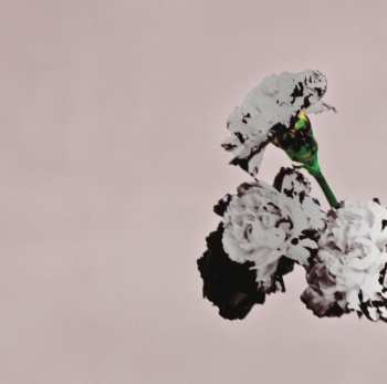 CD John Legend: Love In The Future 