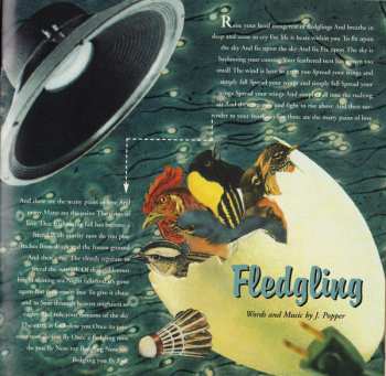 CD John Popper: Zygote